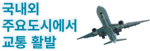 국내외 주요도시에서 교통 활발