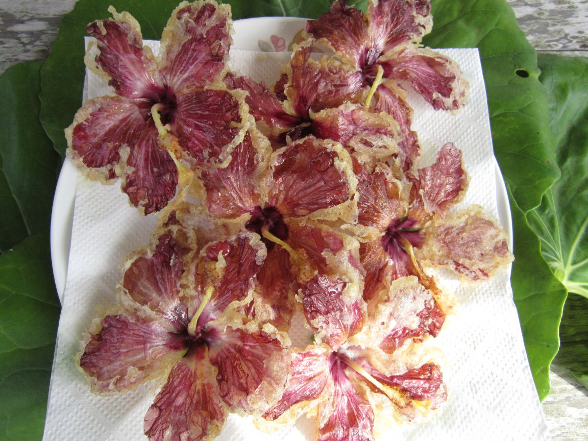 ヤンバルの山菜ご賞味ツアー