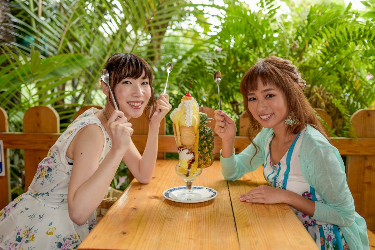 Nago Pineapple Park