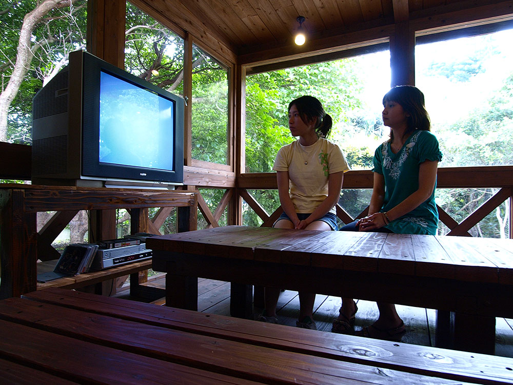 DVD見学