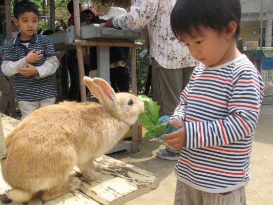 公益財団法人 沖縄こどもの国