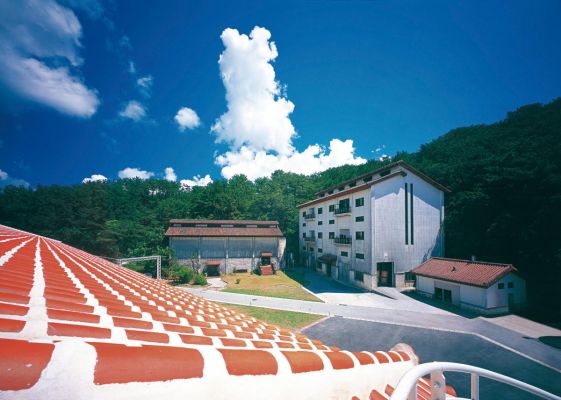 ヘリオス酒造株式会社　酒蔵見学・古酒蔵ショップ