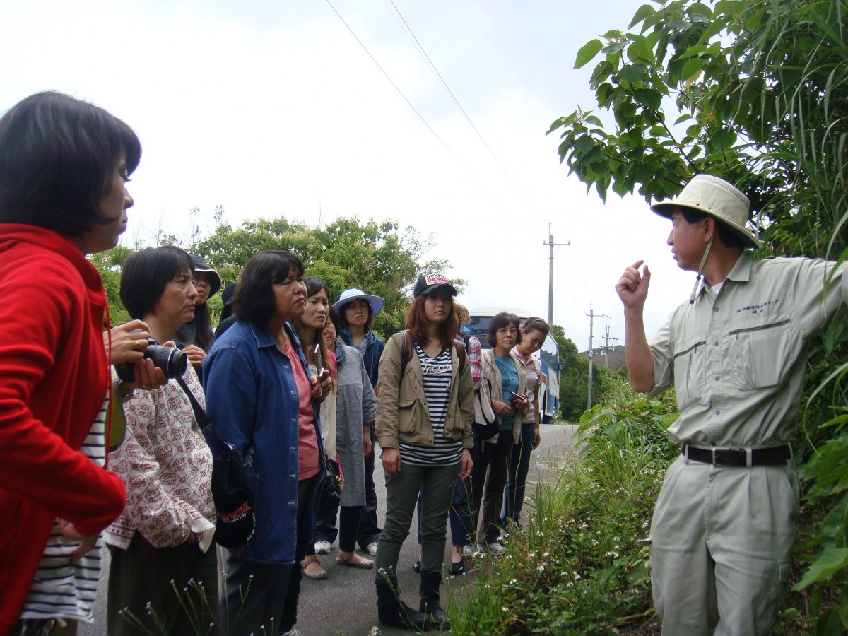 ヤンバル観察会「樹木医による植物ガイドツアー」