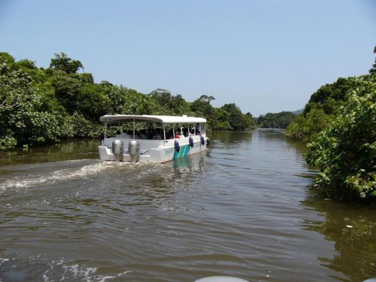 “Water Buffalo Cart Experience Program”, Yaeyama Kanko Ferry Co., Ltd.