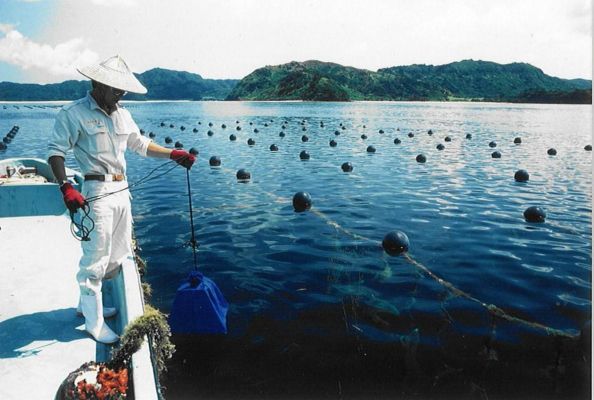 琉球真珠