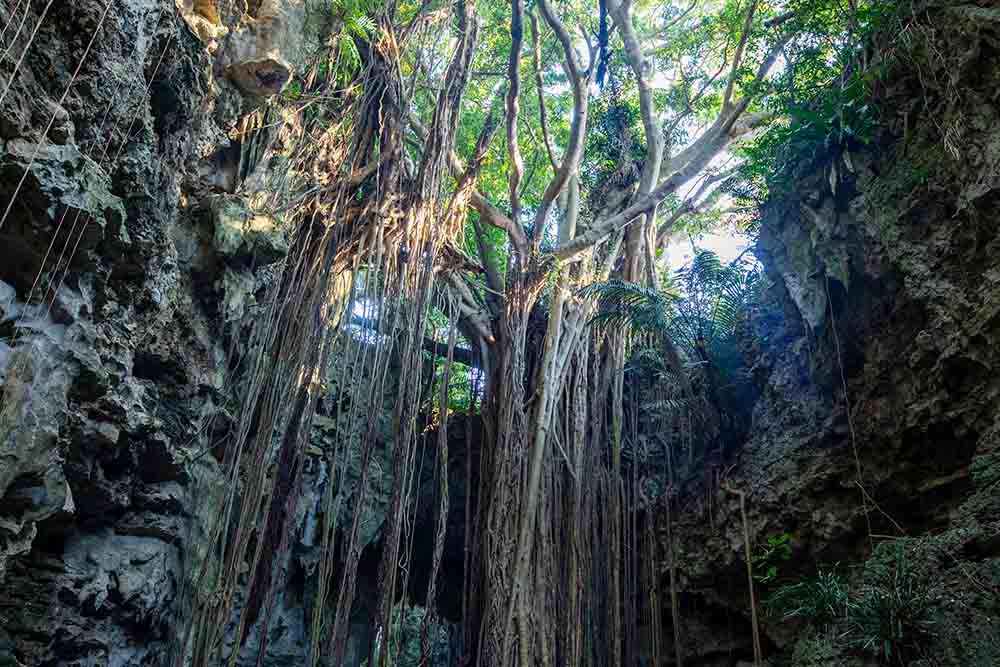 Valley of Gangala
