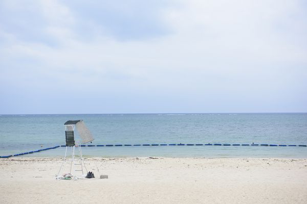 ビーチ