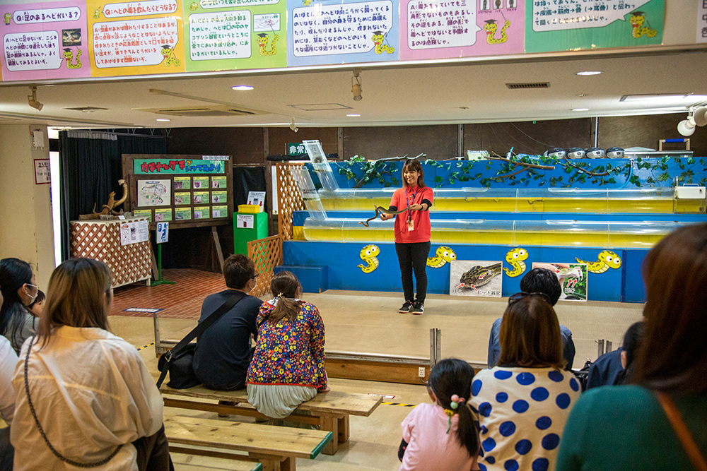 Okinawa World