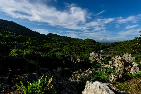 大石林山