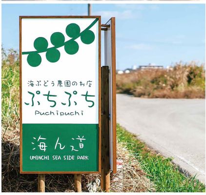 海ぶどう農園 海ん道～uminchi～