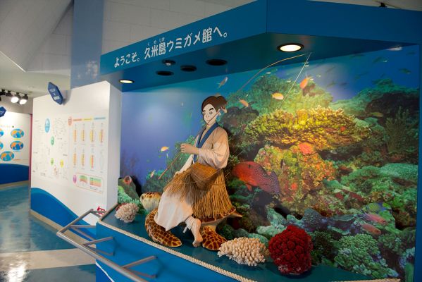 久米島ウミガメ館