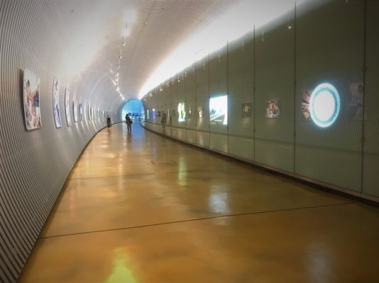 OIST　沖縄科学技術大学院大学
