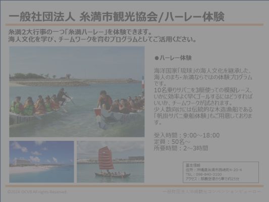 一般社団法人 糸満市観光協会/ハーレー体験