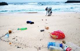 NPO法人　自然体験学校「白砂のビーチで学ぶ ～海洋ゴミとマイクロプラスチック～」