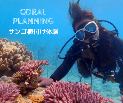沖縄ダイビングサービスLagoon
