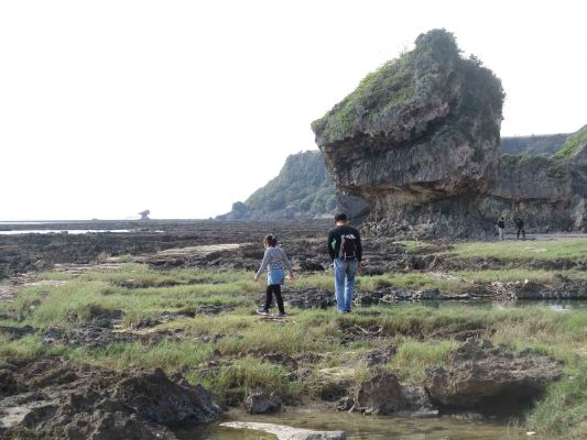 “Learning SDGs through the Local resources”, NPO Nature Experience School