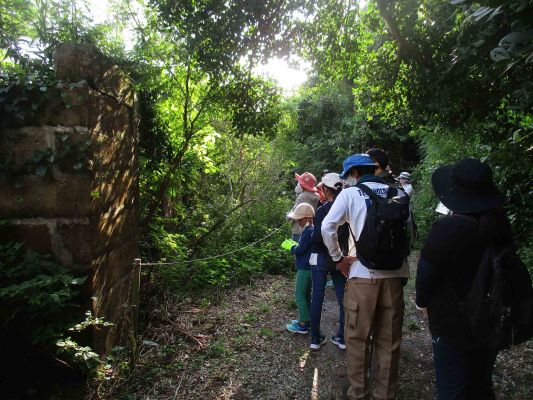 “Learning SDGs through the Local resources”, NPO Nature Experience School