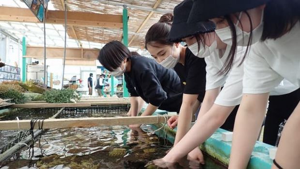 沖縄ダイビングサービスLagoon
