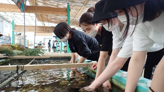 沖縄ダイビングサービスLagoon