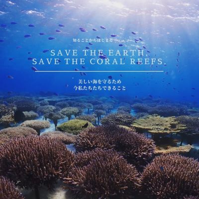 Nature Experience/ Ethical Tour /Coral Conservation/SDGs Plan (Lagoon Inc.)