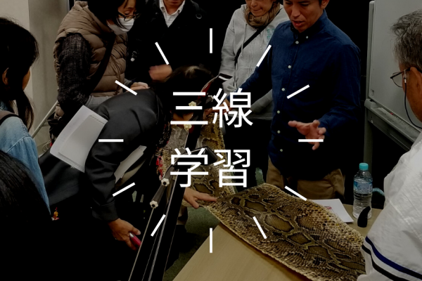 沖縄県三線製作事業協同組合「三線体験」