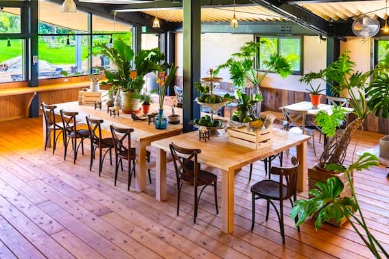 Cafe Restaurant (Interior)