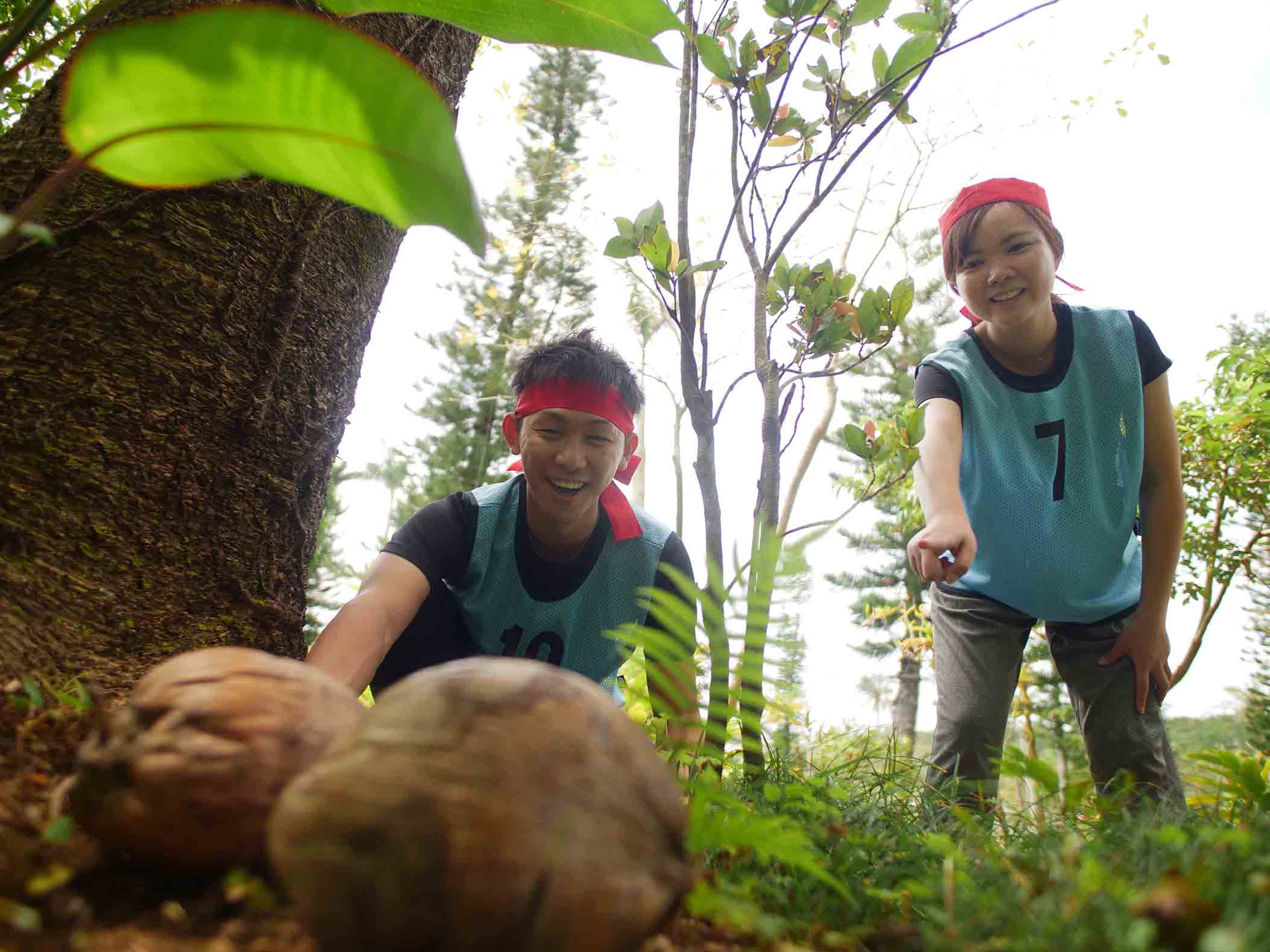 Team Building- Coconut Hunting