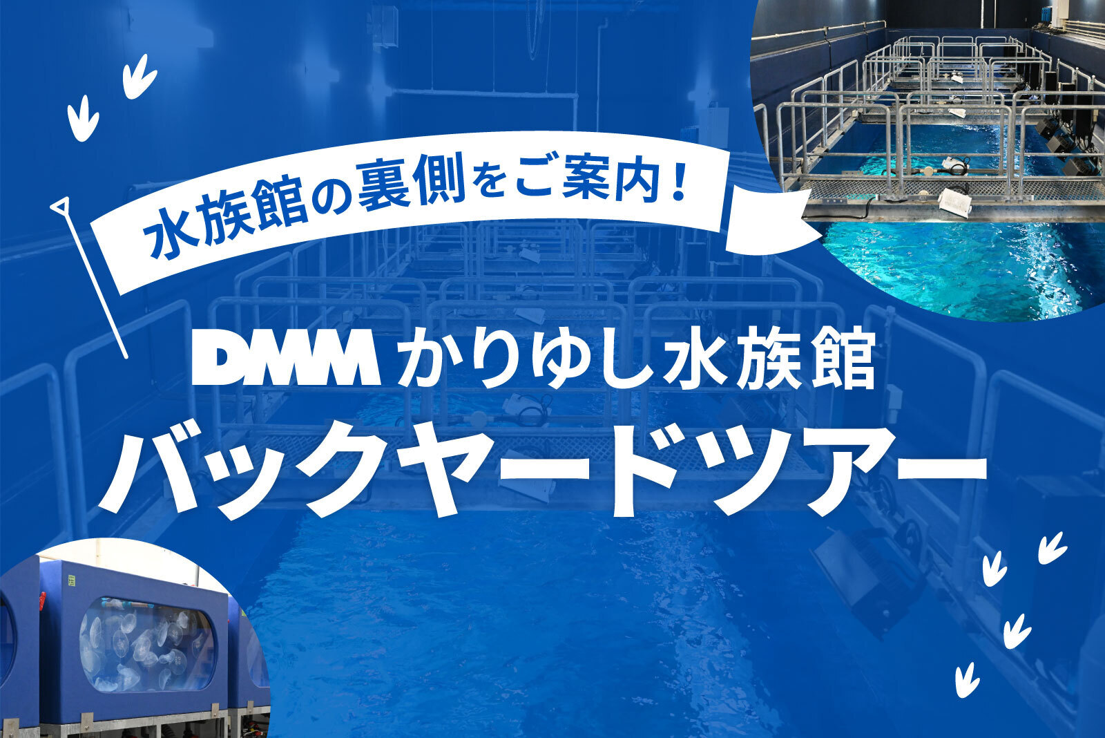 DMMかりゆし水族館「バックヤードツアー 」