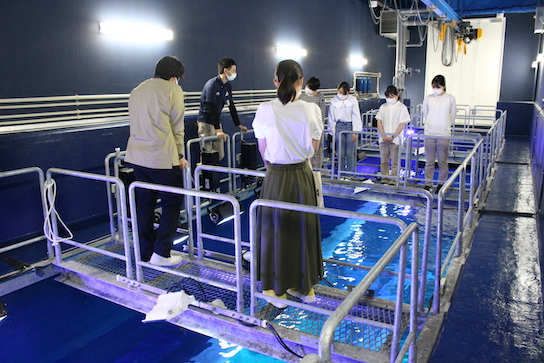 DMMかりゆし水族館「バックヤードツアー 」