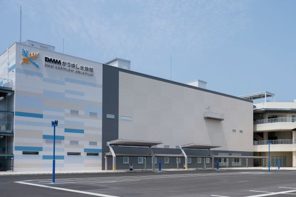 DMMかりゆし水族館「サンゴラボツアー」