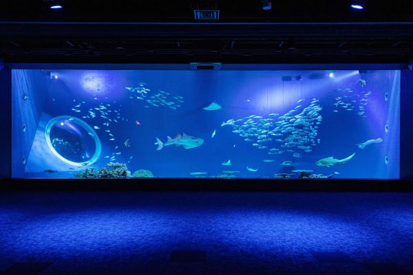 DMMかりゆし水族館