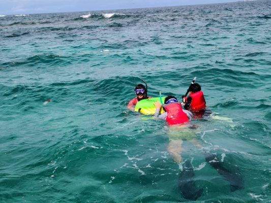 さぁ！自分の目で宜野湾の美ら海をみてみよう！都市部近郊で珊瑚礁が現存している貴重な場所です！