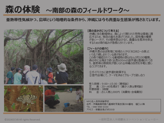 沖縄の緑に触れる ～森のフィールドワーク～