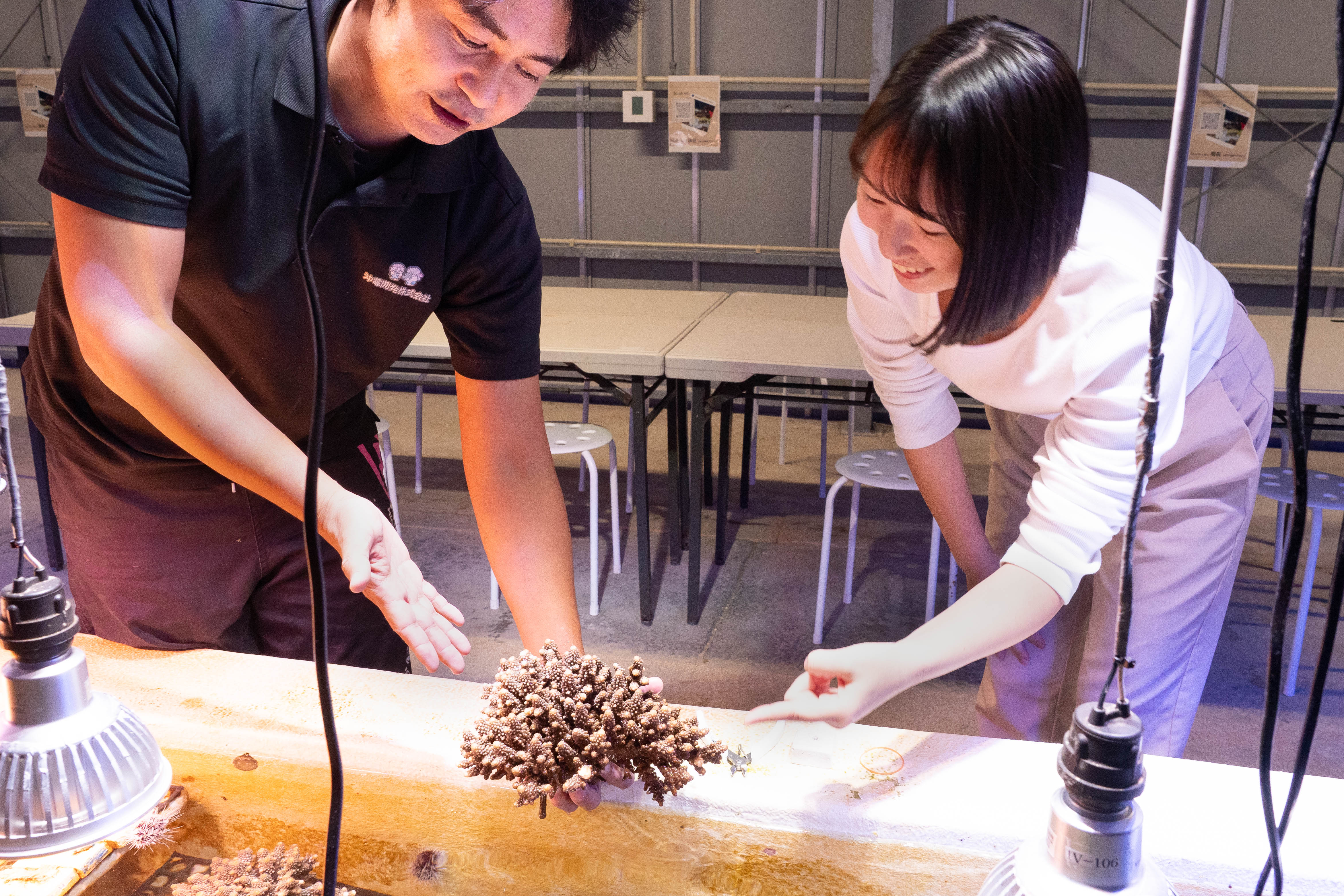 【SDGs教育×サンゴ苗作り体験】水産養殖研究センター