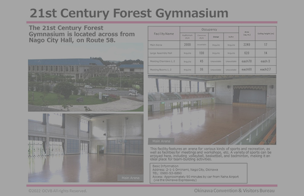 21st Century Forest Gymnasium