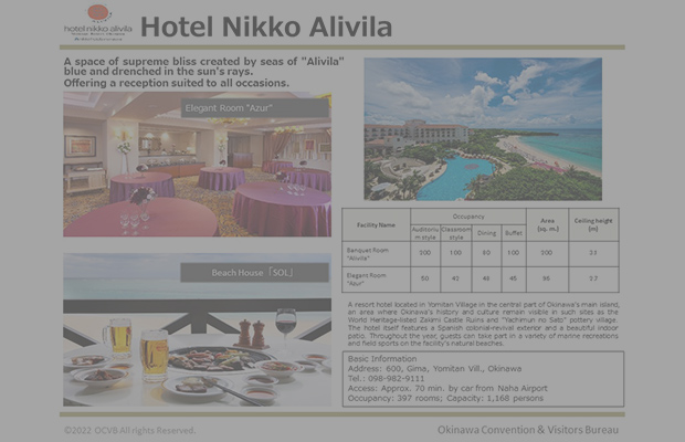 Hotel Nikko Alivila