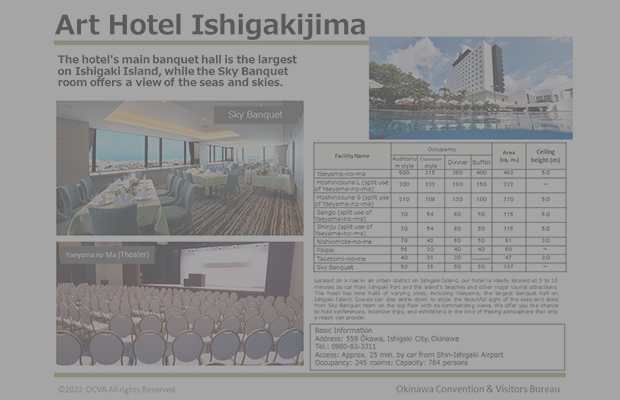 Art Hotel Ishigakijima