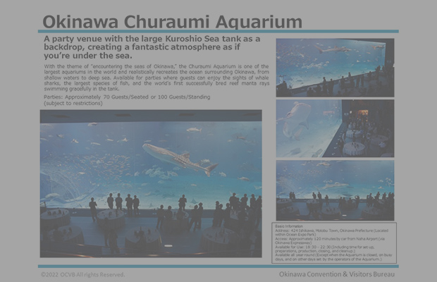 Okinawa Churaumi Aquarium