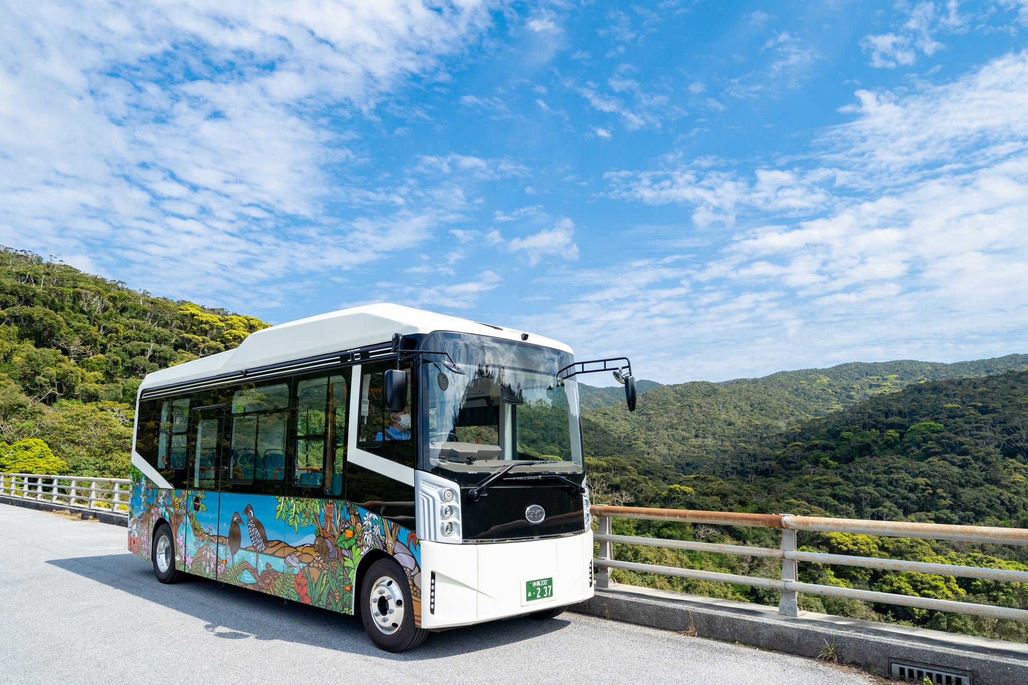 やんばるの森ネイチャーガイドツアー
