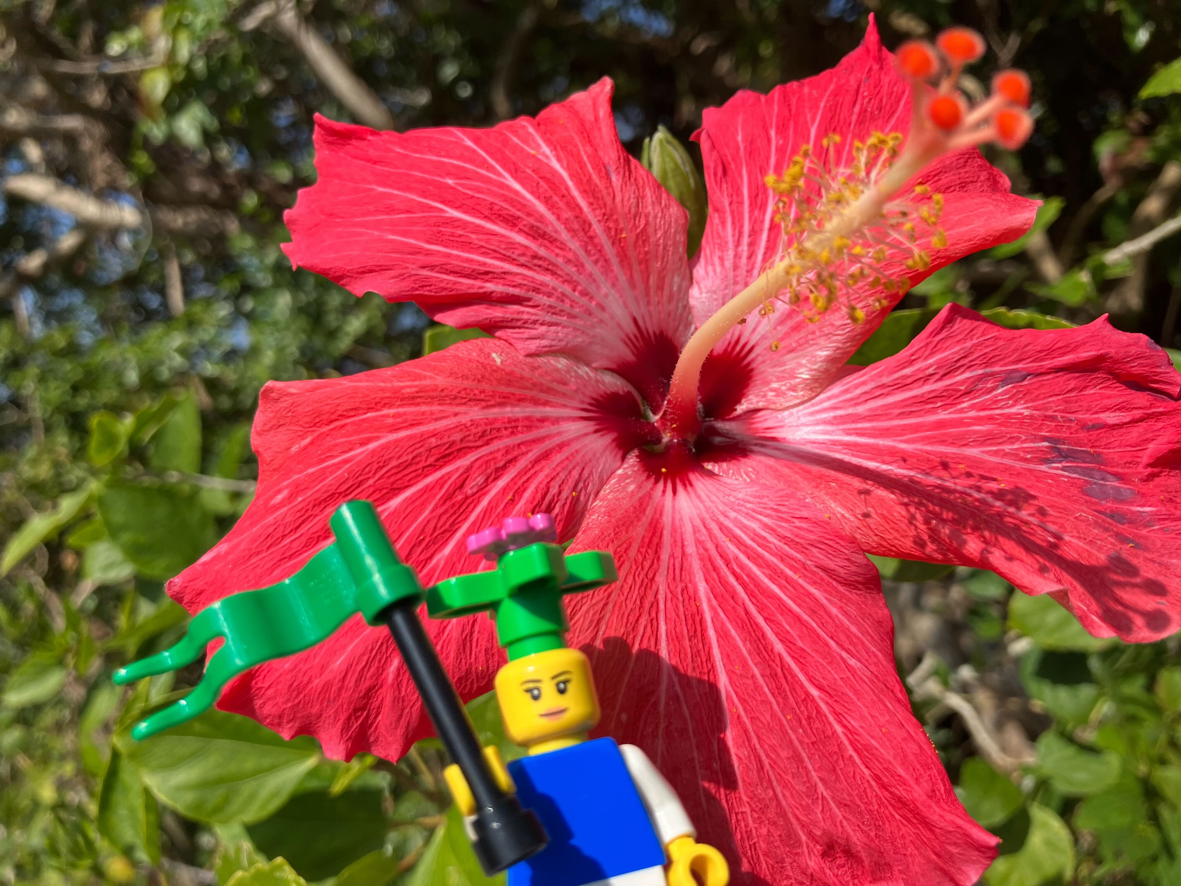 琉球新報開発「LEGO® SERIOUS PLAY ®メソッドと教材を活用したワークショップ 」～心地よいストレス～