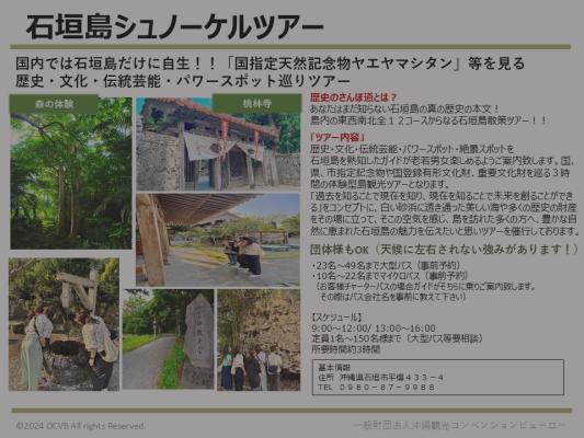 石垣島シュノーケルツアー